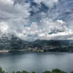 Madonna Dei Ceppi *