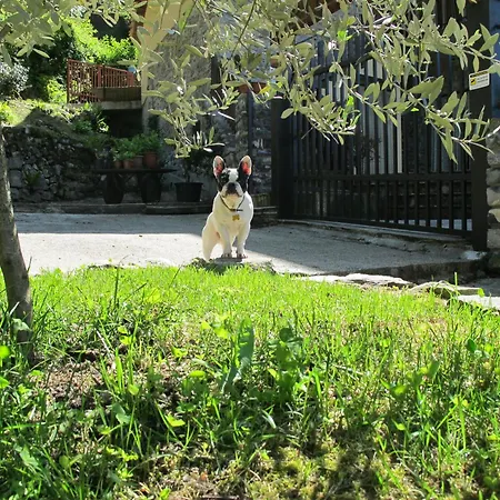 Farm stay Madonna Dei Ceppi