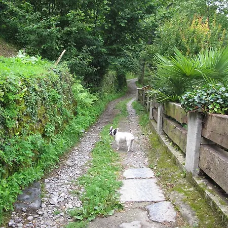 Farm stay Madonna Dei Ceppi