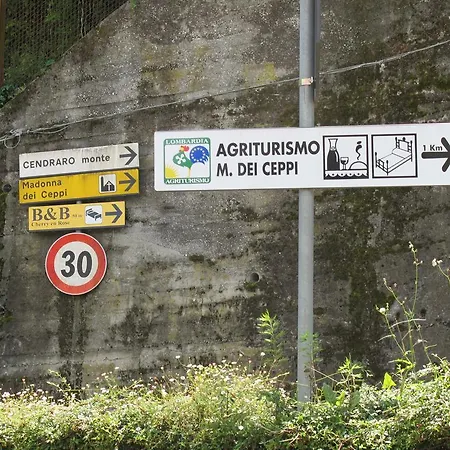 Madonna Dei Ceppi Lezzeno