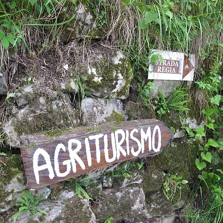 Madonna Dei Ceppi * Lezzeno