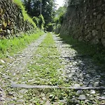 Madonna Dei Ceppi *