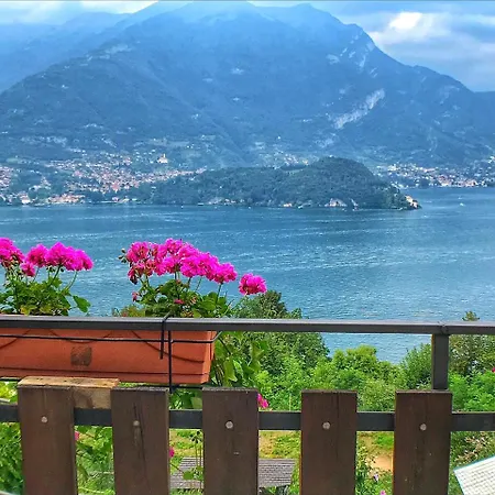 Madonna Dei Ceppi