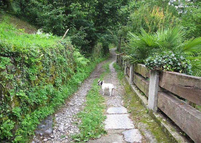 Фермерский дом Madonna Dei Ceppi