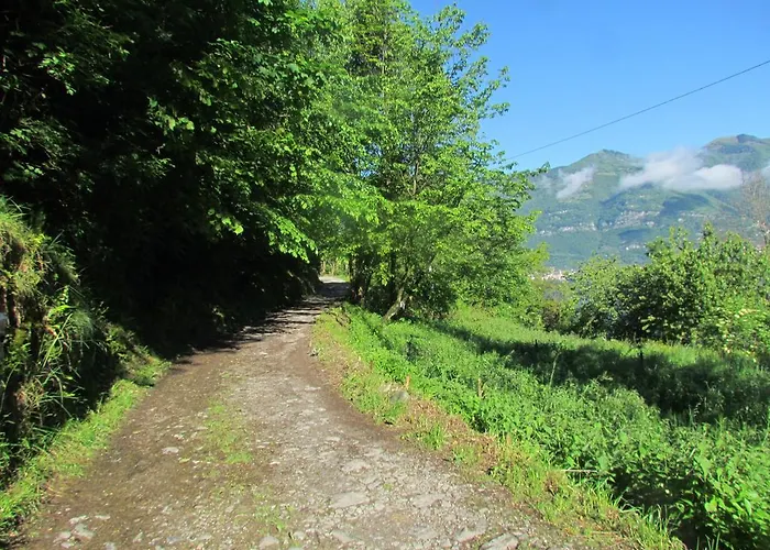 Madonna Dei Ceppi Фермерский дом