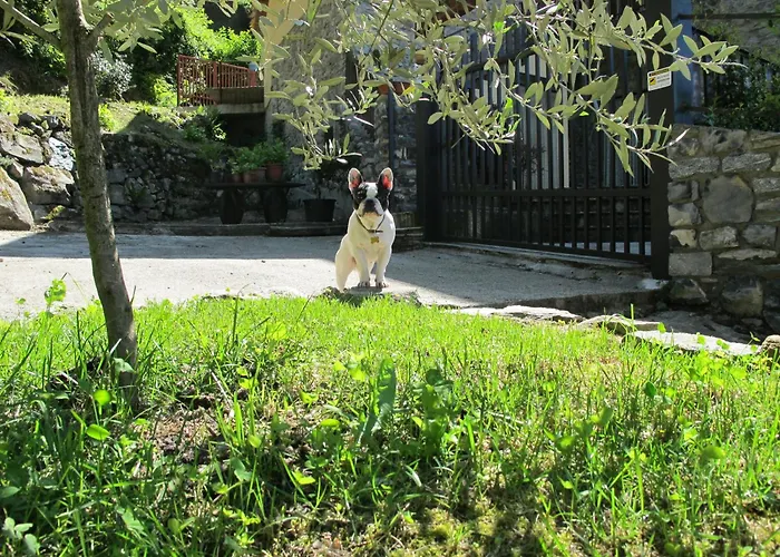 בית חווה Madonna Dei Ceppi