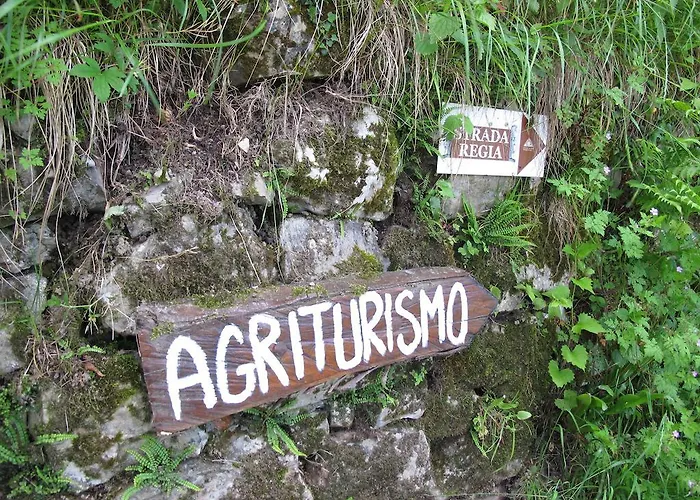 Madonna Dei Ceppi * לצנו